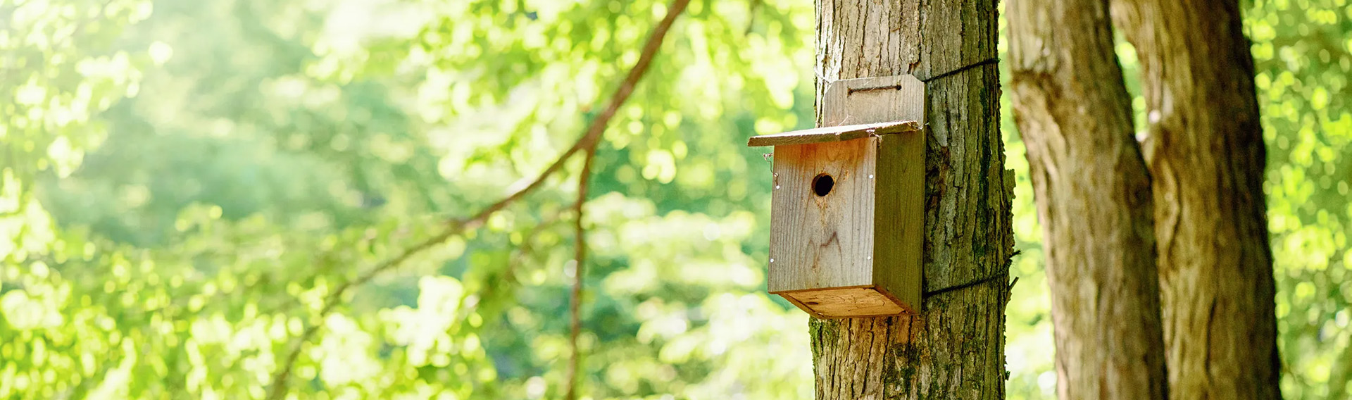 Bird Supply Store -Bird Supply Store 1