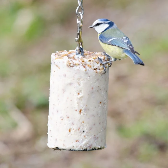 Peanut Cake Tube with Mealworms (1 Litre) Peanut Cake Tube With Mealworms (1 Litre) -Bird Supply Store 10029 1 1 1