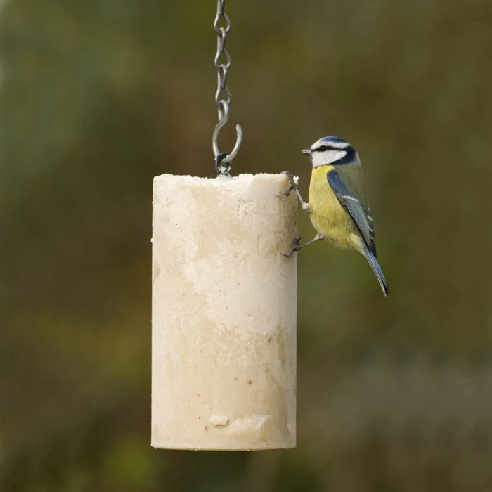 Peanut Cake Tube Original (1 Litre) Peanut Cake Tube Original (1 Litre) -Bird Supply Store 10042 2 1