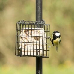 Peanut Cake Square Supreme -Bird Supply Store 10077 03