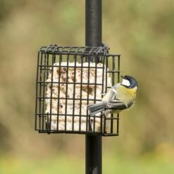 Peanut Cake Square Supreme -Bird Supply Store 10077 04