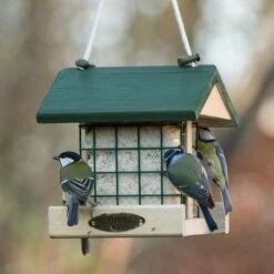 National Trust Insect Peanut Cake 300g 5 National Trust Insect Peanut Cake 300g -Bird Supply Store 10081 03