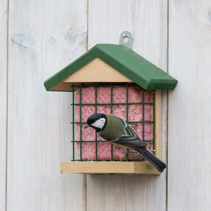 Peanut Cake Square Very Berry Peanut Cake Square Very Berry -Bird Supply Store 10083 03