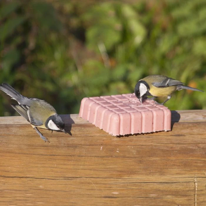 Peanut Cake Square Very Berry Peanut Cake Square Very Berry -Bird Supply Store 10083 2 1
