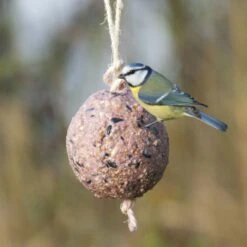 Giant Fat Ball On A Rope - Berries 2 Giant Fat Ball On A Rope - Berries -Bird Supply Store 10098 1 1
