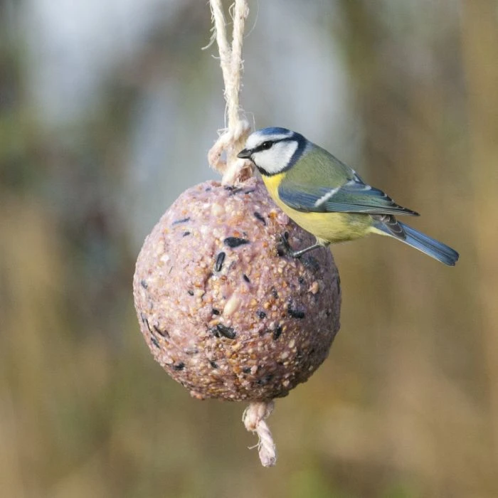 Giant Fat Ball on a Rope - Berries Giant Fat Ball On A Rope - Berries -Bird Supply Store 10098 1 1