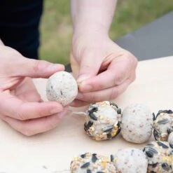 Peanut Butter Modelling Clay (1kg) -Bird Supply Store 10247 06 1