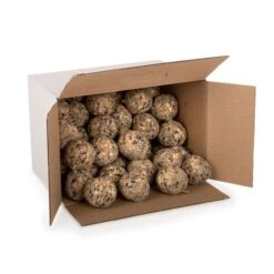 Box Of 50 Ultimate Fat Balls 5 Box Of 50 Ultimate Fat Balls -Bird Supply Store 10278 02