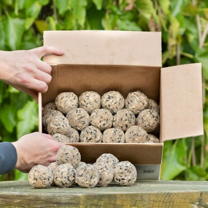 Box of 50 Ultimate Fat Balls Box Of 50 Ultimate Fat Balls -Bird Supply Store 10278 4