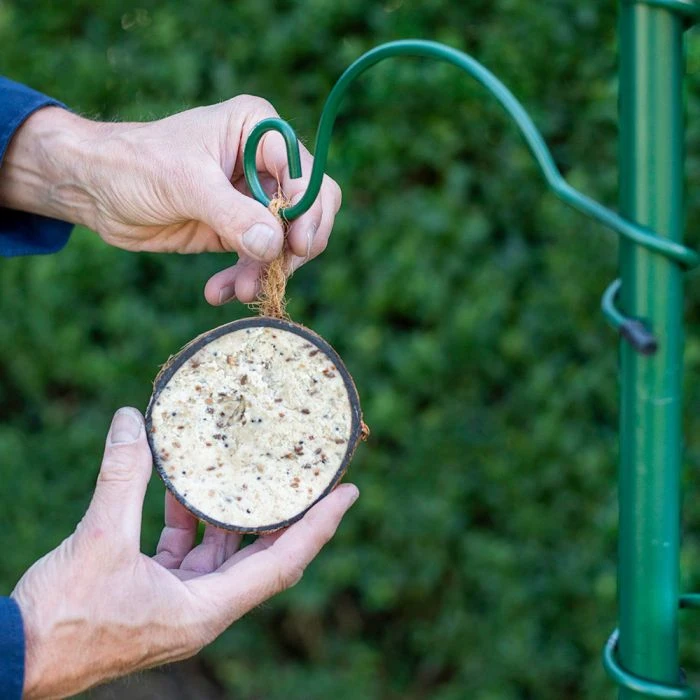 Half Coconut with Peanut Butter Bird Food Half Coconut With Peanut Butter Bird Food -Bird Supply Store 102790119 1