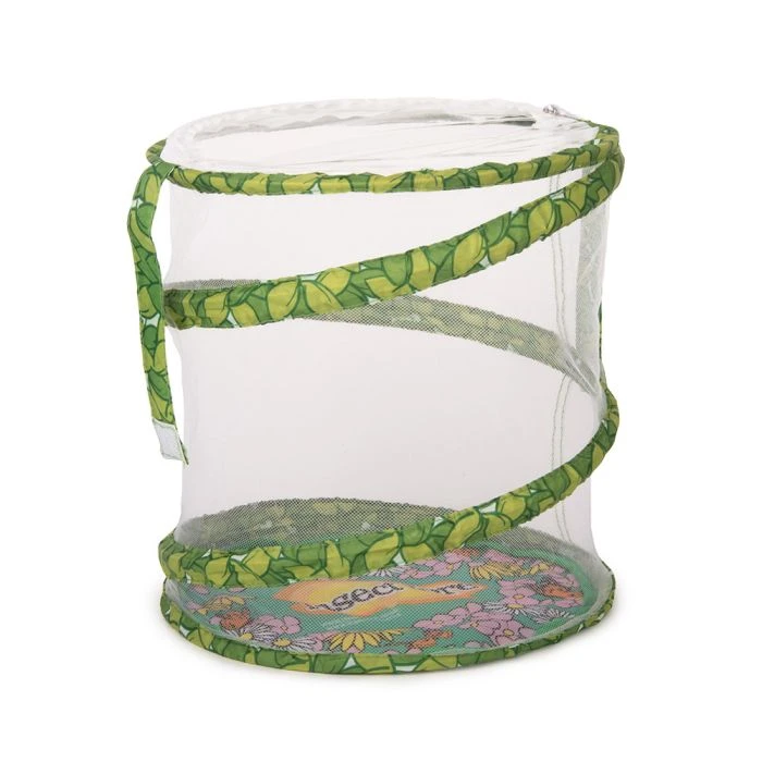 Living Twig Stick Insect Kit Living Twig Stick Insect Kit -Bird Supply Store 103630119 mo living twig kit dv 8515