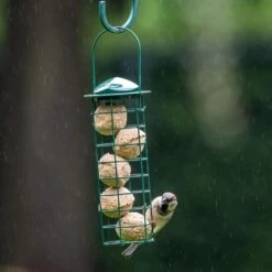 Fat Balls With Insect Fat - 6 Pack