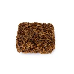 Dried Mealworm Square For Birds 90g