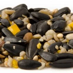 Hi-Energy Seed Mix For Birds -Bird Supply Store 11005 1