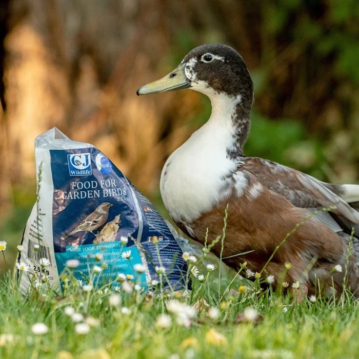 CJ Wildlife Duck & Swan Food CJ Wildlife Duck & Swan Food -Bird Supply Store 160050119 duck swan food