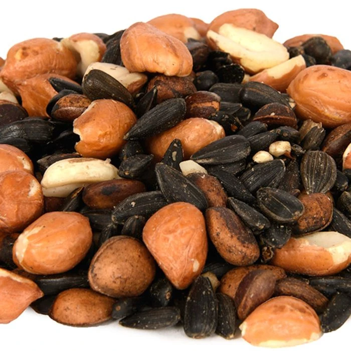 Squirrel Food Squirrel Food -Bird Supply Store 170410120 2