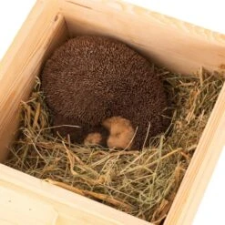 Hedgehog Bedding 500g 2 Hedgehog Bedding 500g -Bird Supply Store 19056