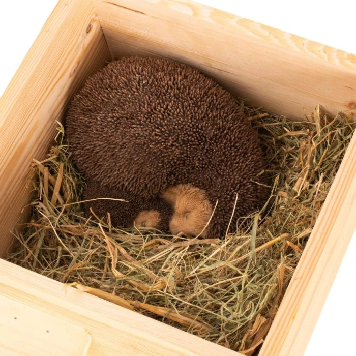Hedgehog bedding 500g Hedgehog Bedding 500g -Bird Supply Store 19056