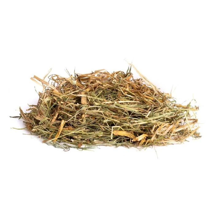 Hedgehog bedding 500g Hedgehog Bedding 500g -Bird Supply Store 190560119 hedgehog bedding
