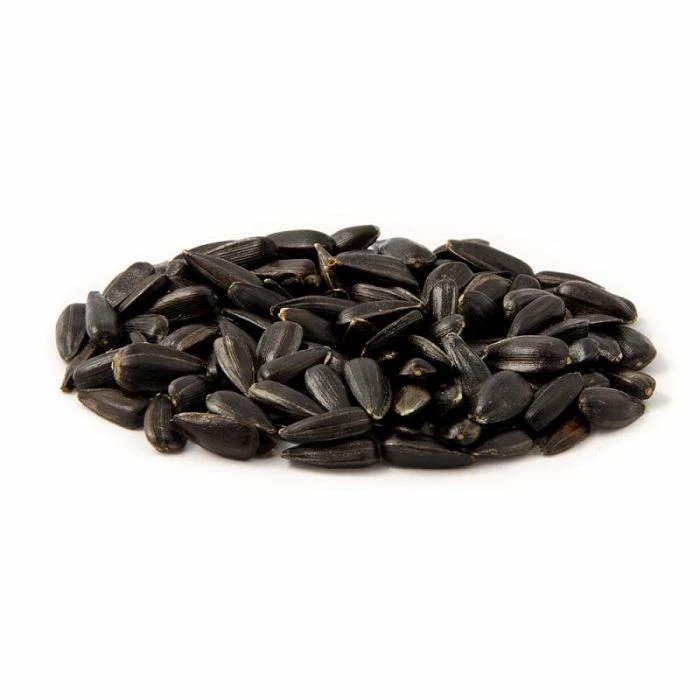 Black Sunflower Seeds - Bird Food Black Sunflower Seeds - Bird Food -Bird Supply Store 23004 1