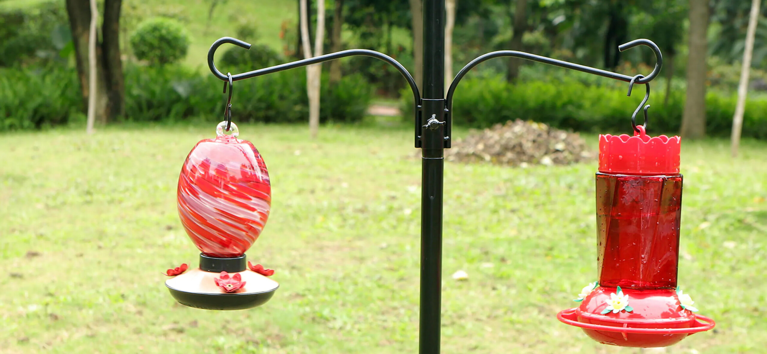 Bird Supply Store -Bird Supply Store 3 scaled