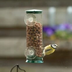 Discovery Plastic Peanut Window Feeder