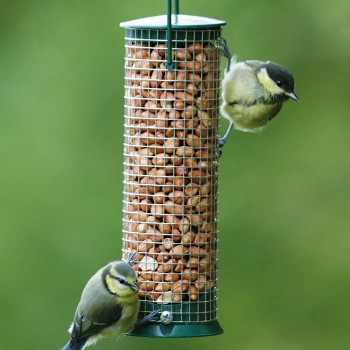 Discovery Plastic Hanging Peanut Bird Feeder Discovery Plastic Hanging Peanut Bird Feeder -Bird Supply Store 30090