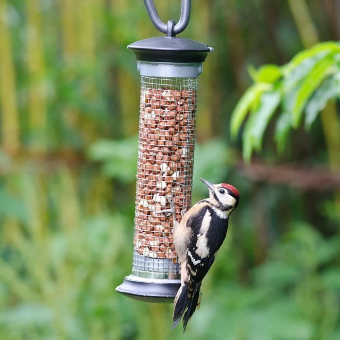 National Trust Apollo Peanut Feeder National Trust Apollo Peanut Feeder -Bird Supply Store 30095 3