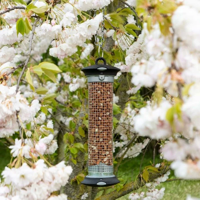 National Trust Apollo Peanut Feeder National Trust Apollo Peanut Feeder -Bird Supply Store 300950119 apollo peanut feeder 200450120 premium whole peanuts dv 0657 1