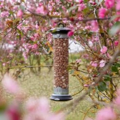 National Trust Premium Peanuts For Birds 4 National Trust Premium Peanuts For Birds -Bird Supply Store 300950119 apollo peanut feeder 200450120 premium whole peanuts dv 0742 2