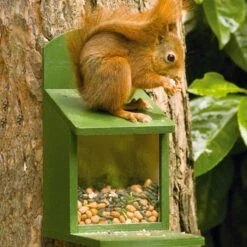 Alberni Squirrel Feeder -Bird Supply Store 30305 4 2