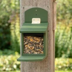 Alberni Squirrel Feeder