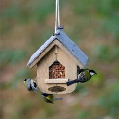 Premium Whole Peanuts - Bird Food -Bird Supply Store 30400 5