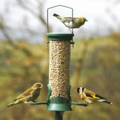 National Trust 2 Port Plastic Seed Feeder
