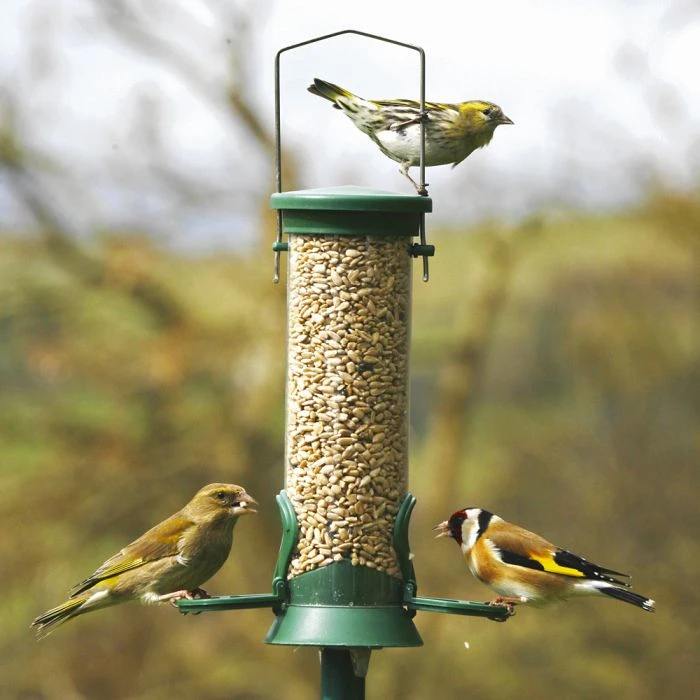 National Trust 2 Port Plastic Seed Feeder National Trust 2 Port Plastic Seed Feeder -Bird Supply Store 31000 1