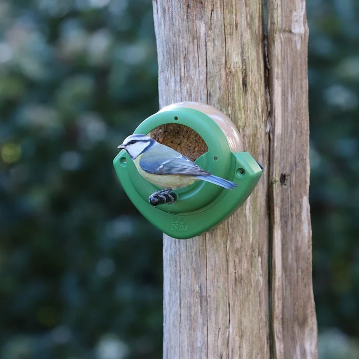 LONA Peanut Butter Feeder A1 LONA Peanut Butter Feeder A1 -Bird Supply Store 310290119 lona angy 0164