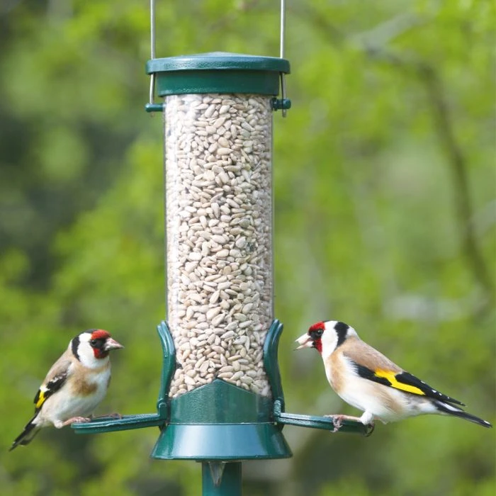 National Trust 2 Port Metal Seed Feeder National Trust 2 Port Metal Seed Feeder -Bird Supply Store 31030 4