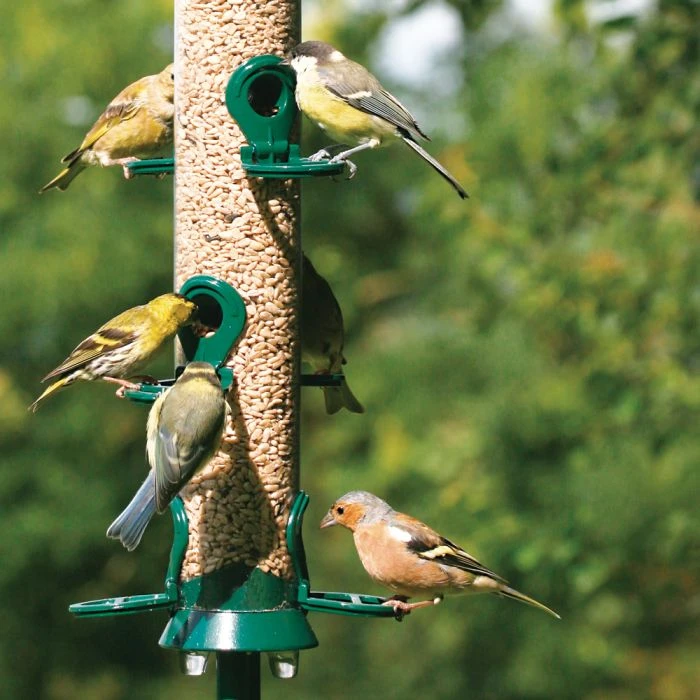 National Trust 6 Port Metal Seed Feeder National Trust 6 Port Metal Seed Feeder -Bird Supply Store 31050 1