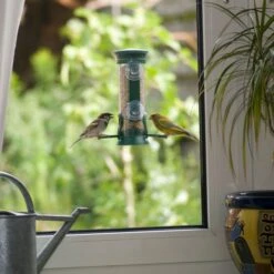 Discovery Plastic Window Seed Feeder -Bird Supply Store 31067 1