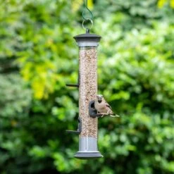 Apollo 5 Port Seed Feeder