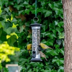 Apollo Bird Seed Feeder Range -Bird Supply Store 310990119 150280113 jvg 8509 1