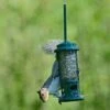 Squirrel Buster Seed Feeder