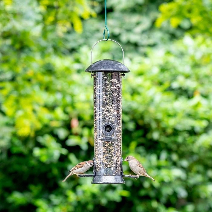 Adventurer 4 Port Seed Feeder Adventurer 4 Port Seed Feeder -Bird Supply Store 330220119 151040120 jvg 8218 1