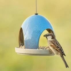 National Trust Vierno Tavern Bird Seed Feeder (Blue) -Bird Supply Store 34345 2