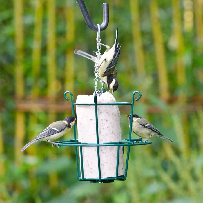Metal Peanut Cake Feeder Metal Peanut Cake Feeder -Bird Supply Store 35000 1