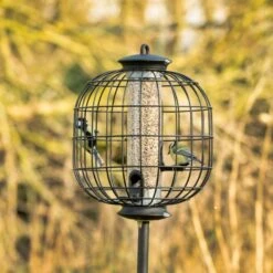Guardian For Apollo 3 Port Seed Feeder -Bird Supply Store 35002 7