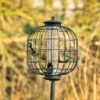 Apollo 3 Port Seed Feeder With Guardian
