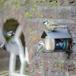 Wicklow Peanut Butter Feeder -Bird Supply Store 35025 2