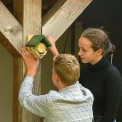 National Trust Dublin Peanut Butter Feeder 2 National Trust Dublin Peanut Butter Feeder -Bird Supply Store 350260121 5