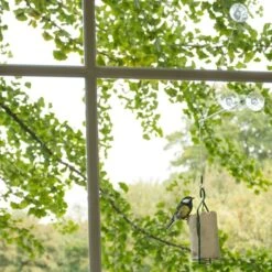 BirdSwing Window Peanut Cake Feeder -Bird Supply Store 350452